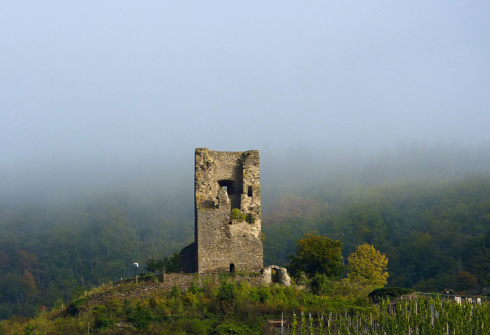 Coraidelstein bei Klotten im Nebel