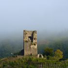 Coraidelstein bei Klotten im Nebel