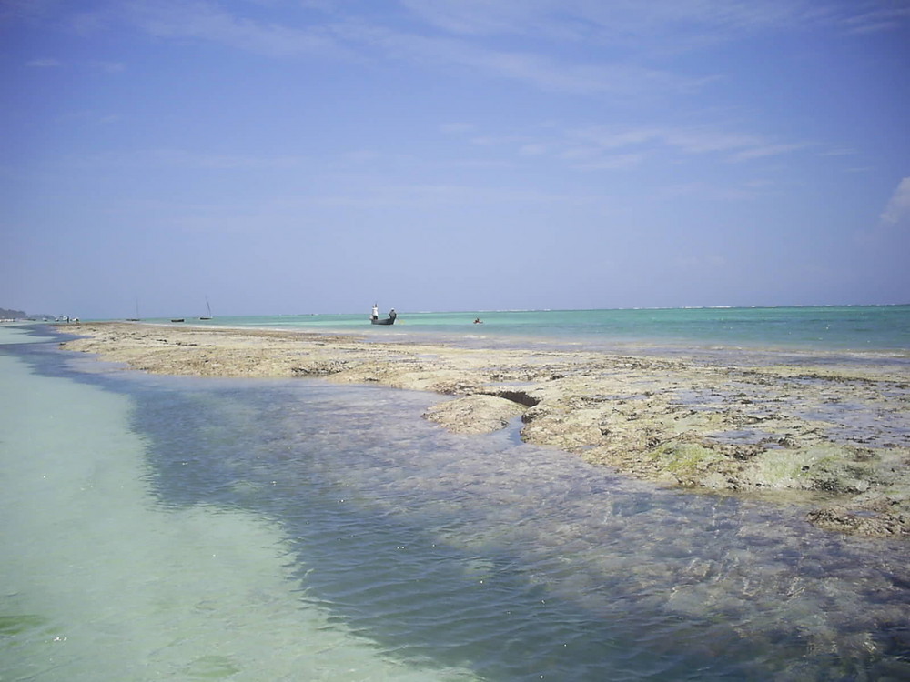 Coral barrer in Kenya ( Indian Ocean )