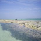 Coral barrer in Kenya ( Indian Ocean )