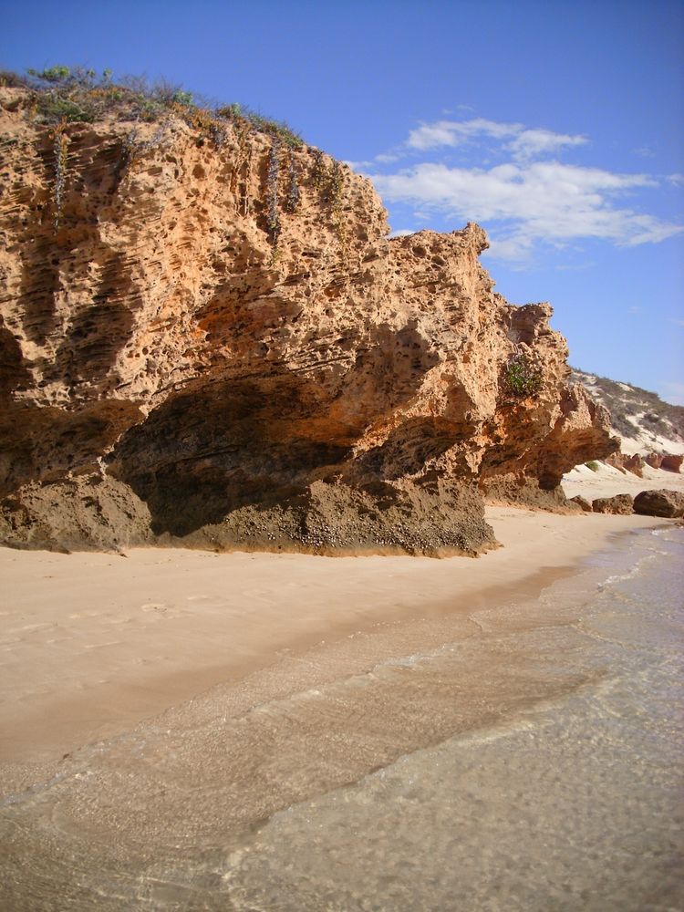 Coral Bay / Ningaloo Reef