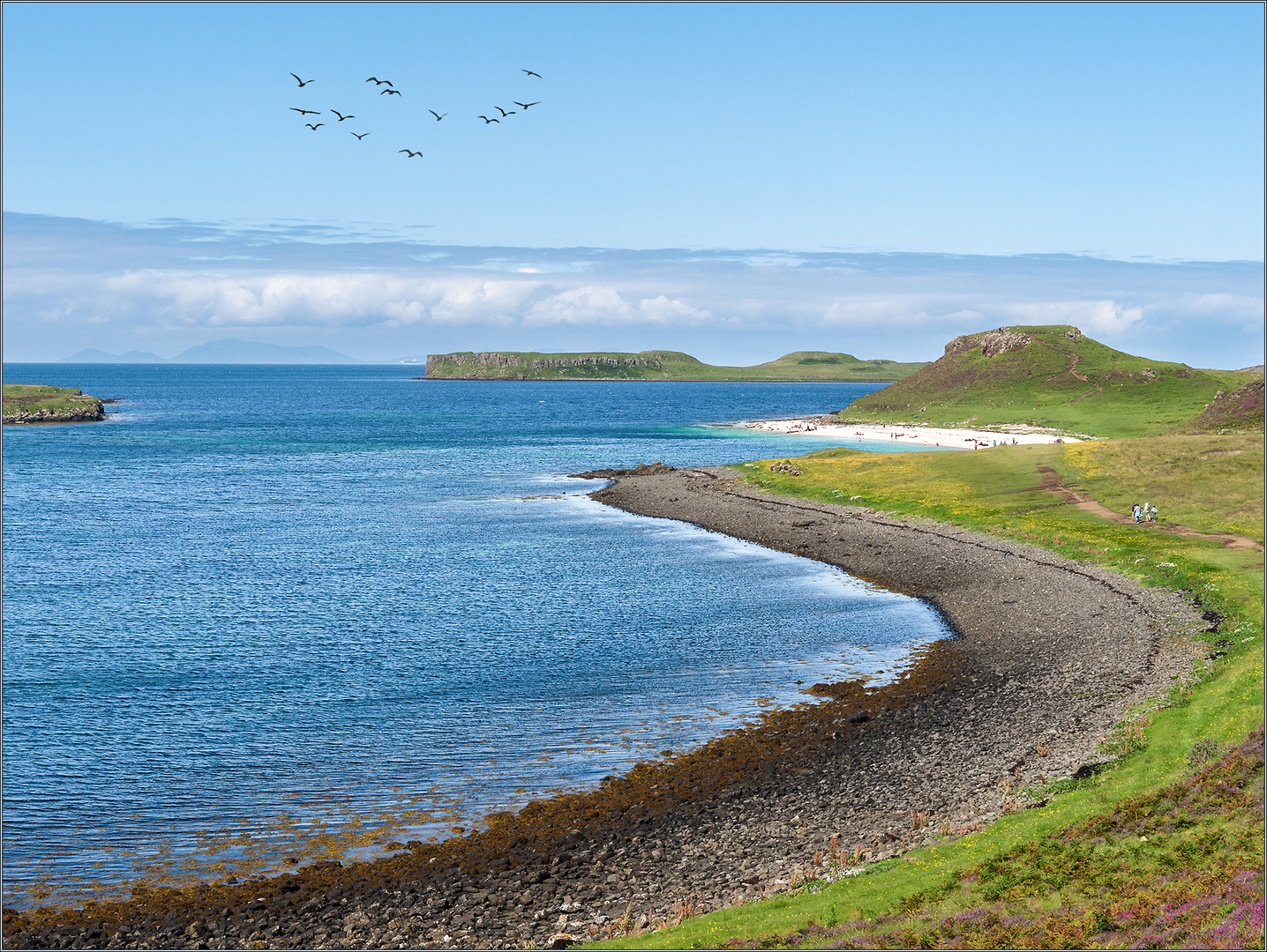 Coral Beach