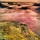 Coral Beach