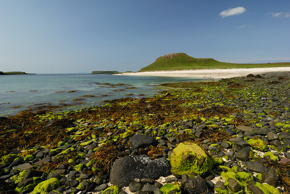 Coral Beach