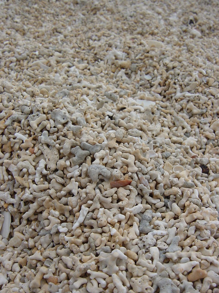 Coral Beach, Ireland