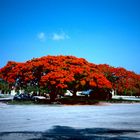 Coral Gables, FL - 1989