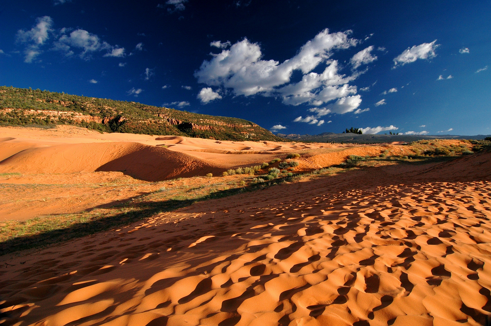 Coral Pink Sand Dunes