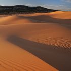 Coral Pink Sand Dunes