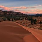 Coral Pink Sand Dunes