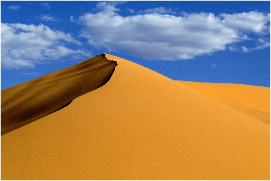 Coral Pink Sand Dunes