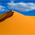 Coral Pink Sand Dunes