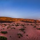 Coral Pink Sand Dunes