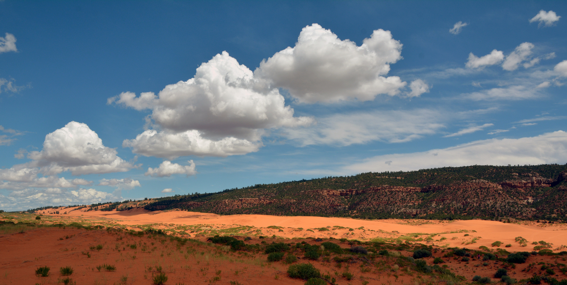 Coral Pink Sand Dunes