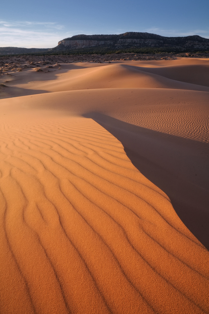 Coral Pink Sand Dunes