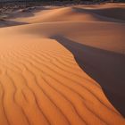 Coral Pink Sand Dunes