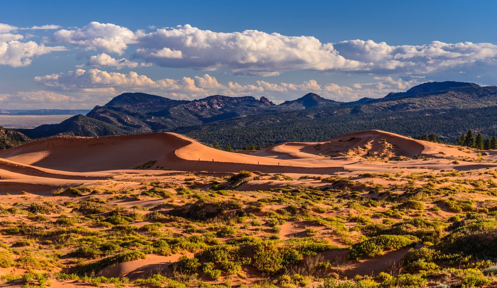 Coral Pink Sand Dunes gegen Moccasin Mountain, Utah, USA