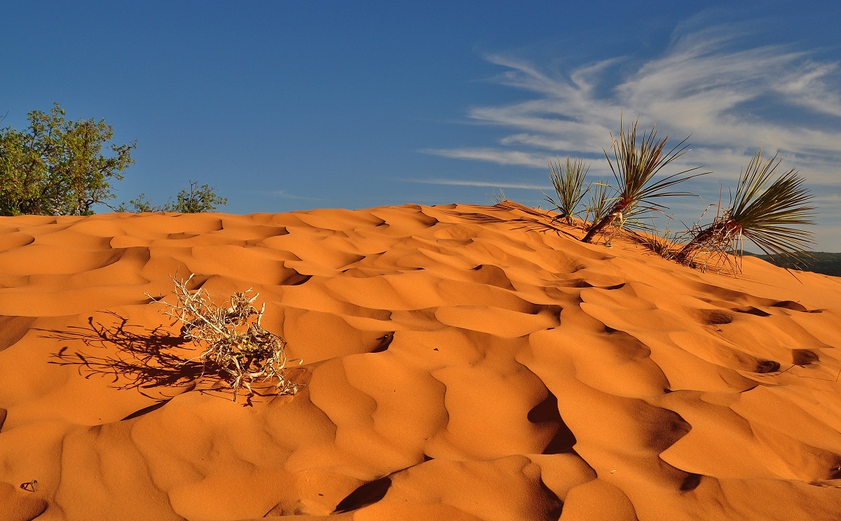 Coral Pink Sand Dunes State Park