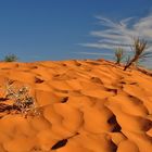 Coral Pink Sand Dunes State Park