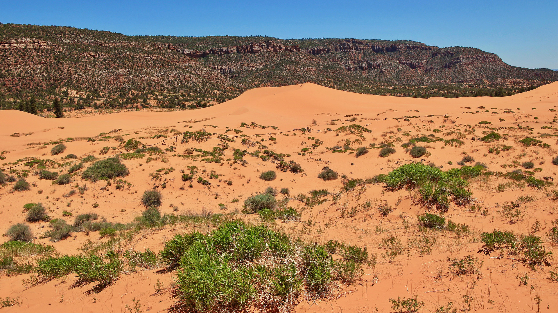 Coral Pink Sand Dunes State Park