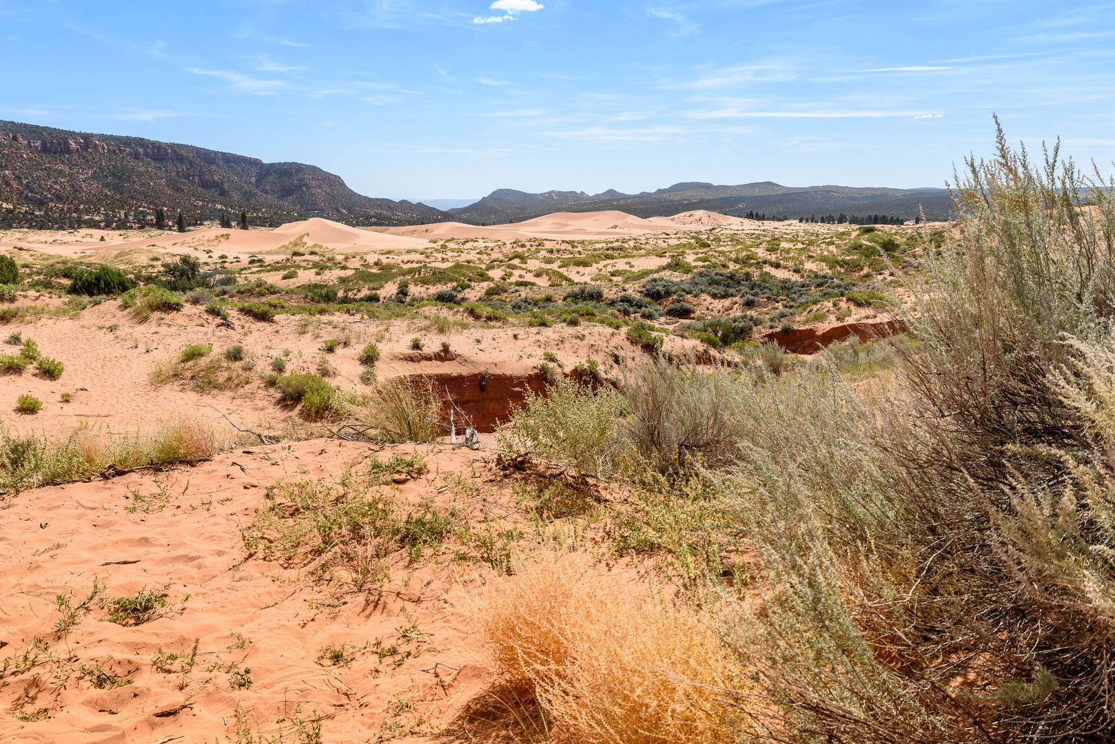 Coral Pink Sand Dunes State Park