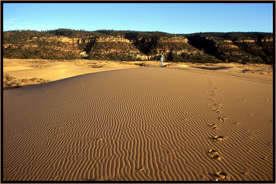 Coral Pink Sand Dunes State Park, USA