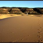 Coral Pink Sand Dunes State Park, USA