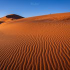 Coral Pink Sand Dunes (USA)