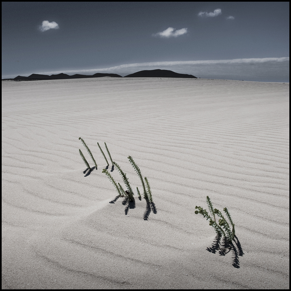 Coralejo (Fuerteventura)