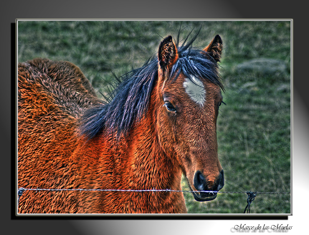 Corazón de cristal..3