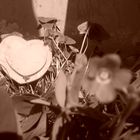 corazon sepia