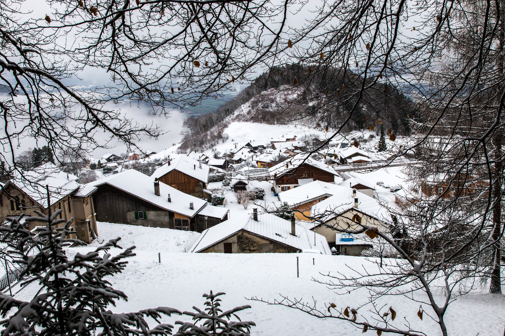 Corbeyrier - Canton de Vaud - Suisse - 2