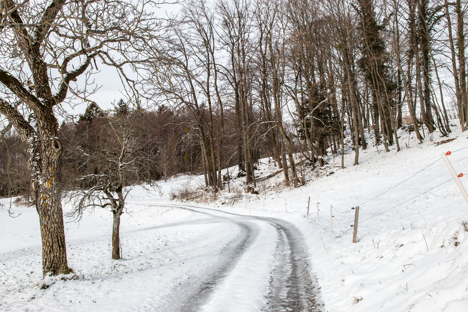 Corbeyrier - Canton de Vaud - Suisse - 5