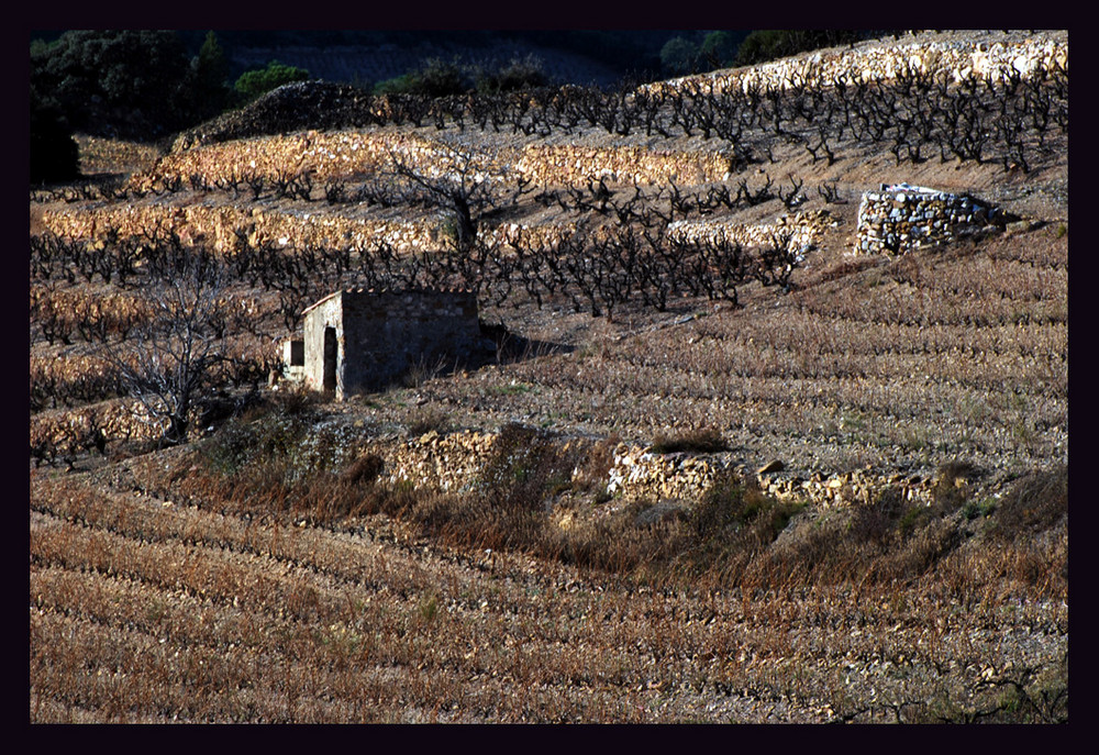 Corbières