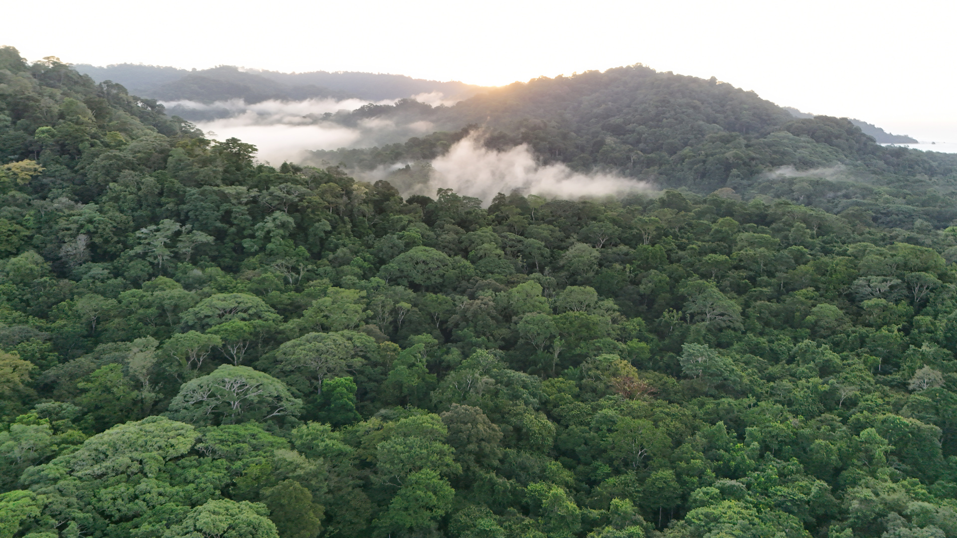 Corcovado Nationalpark