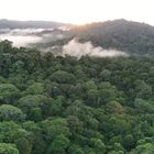 Corcovado Nationalpark