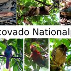 Corcovado Nationalpark 