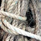 CORDAGE 2