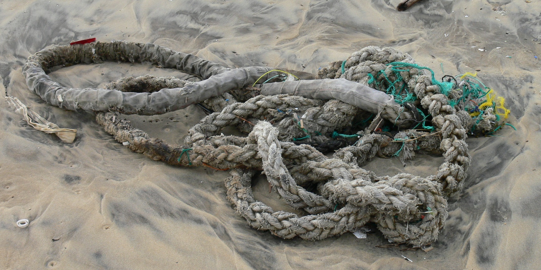 Cordage échoué sur le sable