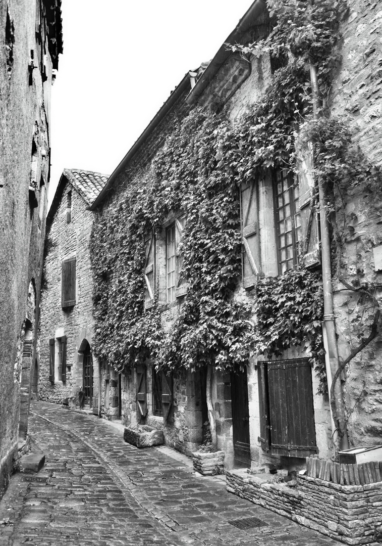 Cordes-sur-Ciel #4