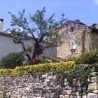 Cordes-sur-Ciel (6)