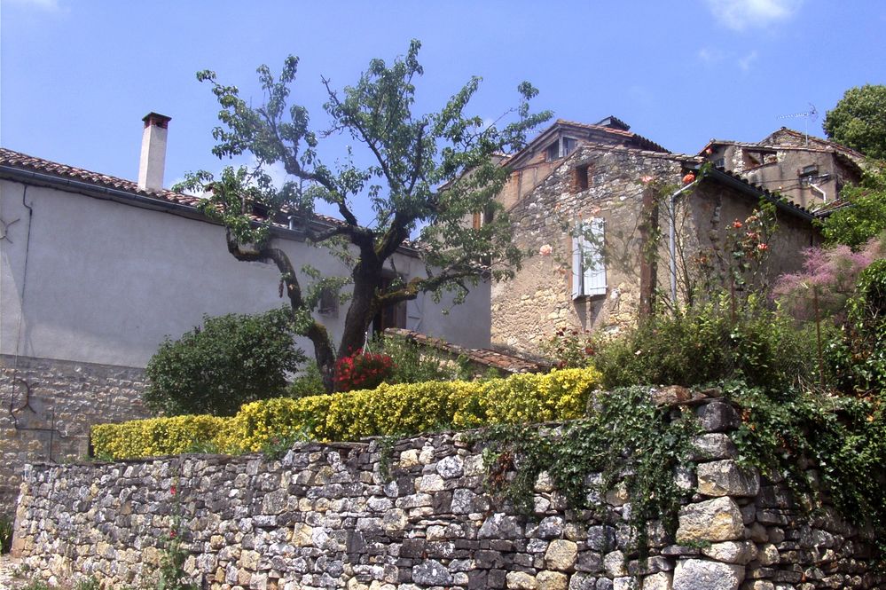 Cordes-sur-Ciel (6)