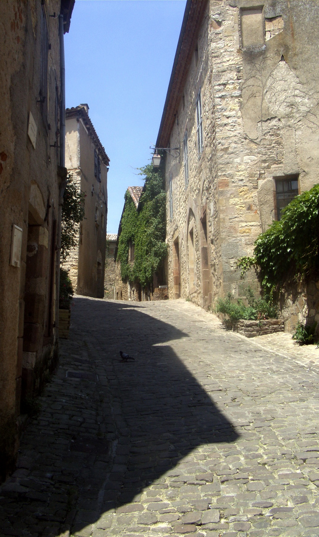 Cordes-sur-Ciel (8)