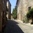 Cordes-sur-Ciel (8)