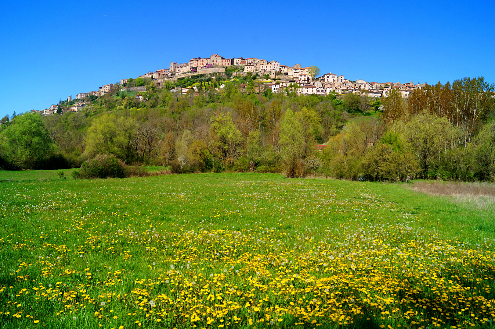 Cordes-sur-Ciel, France