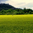 Cordes sur son tapis jaune