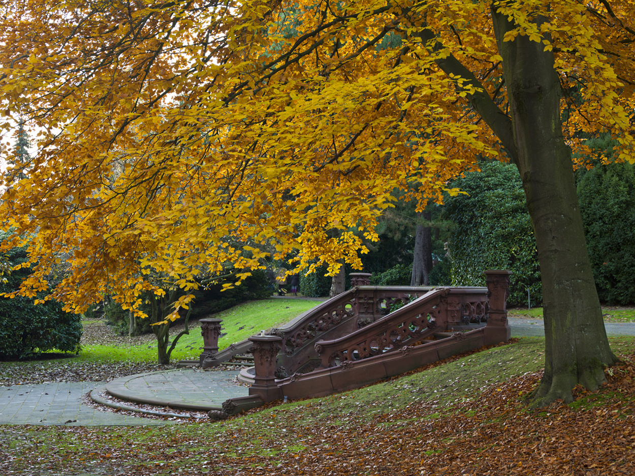 "Cordesbrunnen"