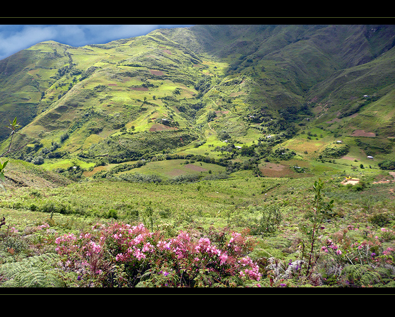 Cordillera de Cajamarca