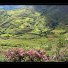 Cordillera de Cajamarca