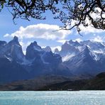 Cordillera Paine- Magallanas Chile