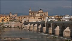 Cordoba